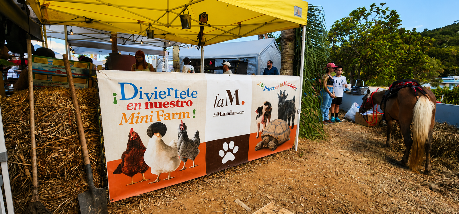 Banner Diviértete en nuestro Mini Farm